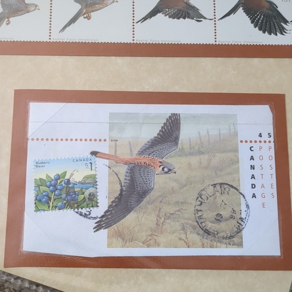 Kestrel Bird Stamp Collection Sheet - Picture 5 of 6